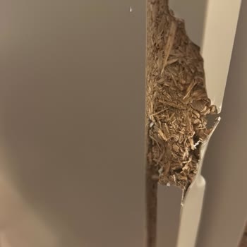 Aldığım TV Sehpası Hem Geç Teslim Edildi Hem De Parçalanmış Halde Getirildi