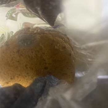 Elazığ Mağazanızdan Aldığım Ekmek Ve Dondurma Bozuk Çıktı İnsan Sağlığı Tehlikede