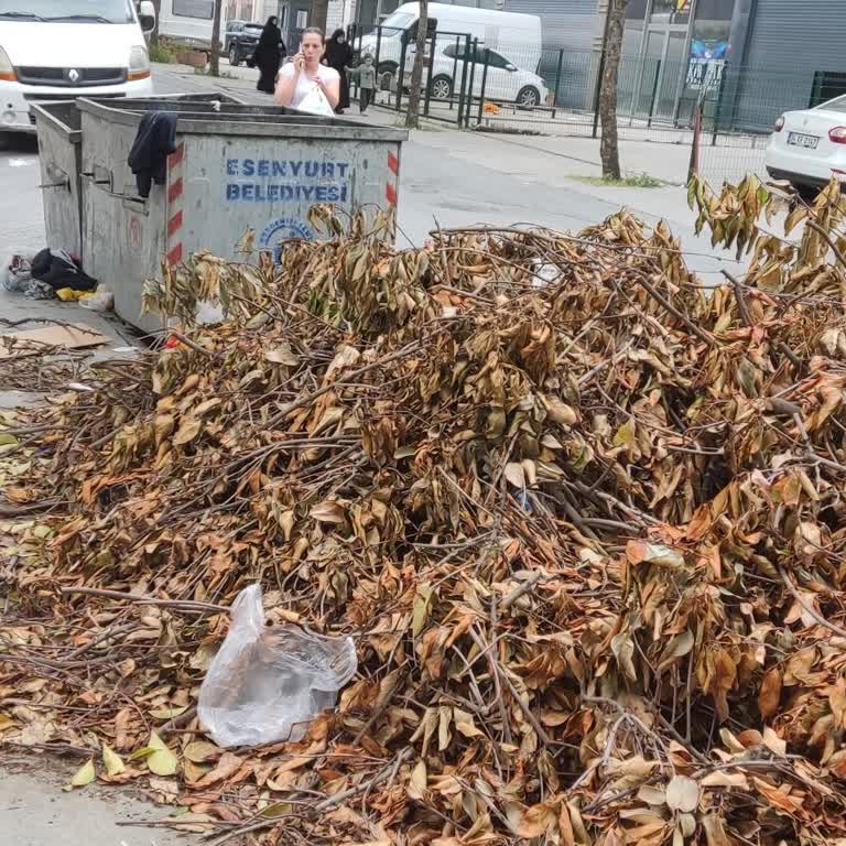 Çöp Konteyneri Önündeki Ağaç Dalları Yolu Kapatıyor