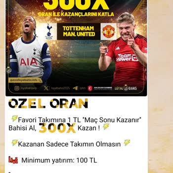 Kazanç Aktarımı Ve Destek Sürecinde Yaşanan Sorunlar