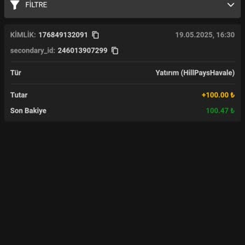 Kazanç Aktarımı Ve Destek Sürecinde Yaşanan Sorunlar