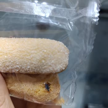Aldığım Kedi Dilinden Böcek Çıktı Tatlım Da Yarım Kaldı