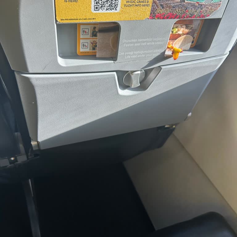 Pegasus Uçaklarında Temizlik Ve Yolcu Güvenliği Sorunu