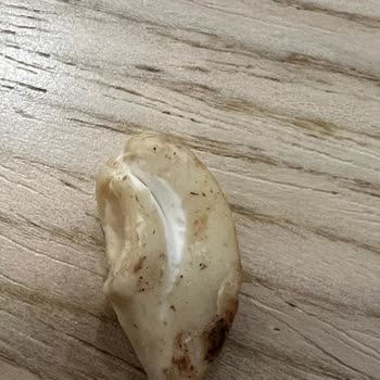 Bozuk Ürün Ve İlgisiz Mağaza Personeli Nedeniyle Yaşanan Sorun