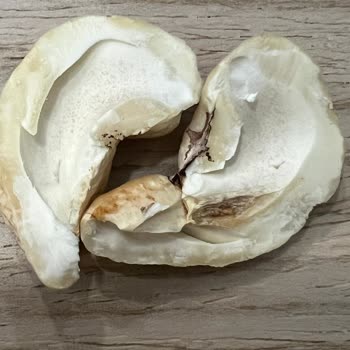 Bozuk Ürün Ve İlgisiz Mağaza Personeli Nedeniyle Yaşanan Sorun