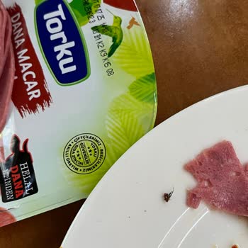 Torku Salamdan Çıkan Sert Ve Kıllı Nesne Şok Etti