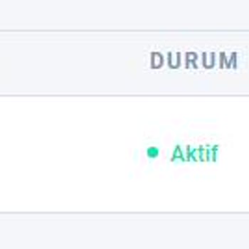 Cenuta Domain Transferinde Gereksiz Bekleme Süresi