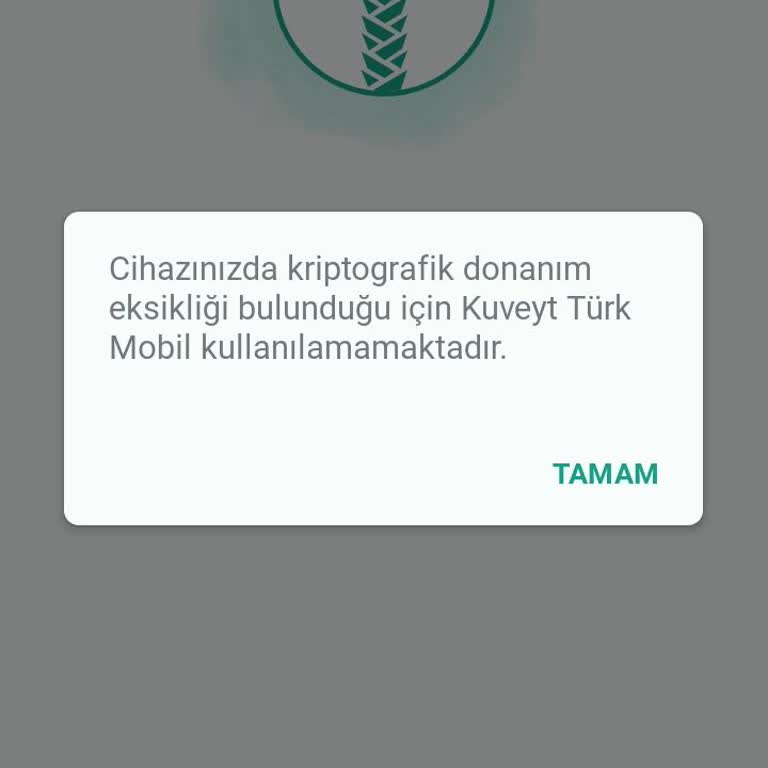 Mobil Bankacılıkta Giriş Sorunu Ve Yetersiz Destek