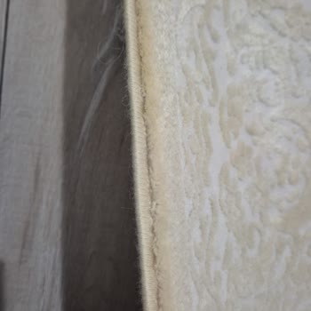 Halı Yıkama Sonrası Kötü Koku Ve Renk Değişimi Sorunu