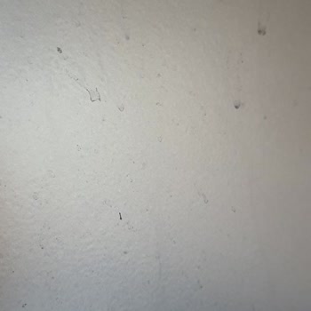 Arçelik Buzdolabında Kısa Sürede Kararma Ve Kabarma Sorunu