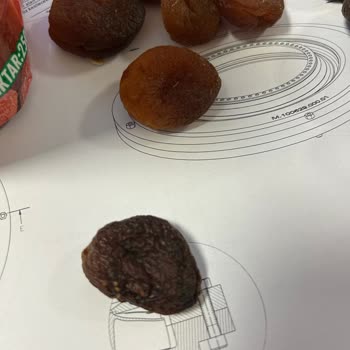 Taze Olması Gereken Kayısılar Çürük Çıktı!