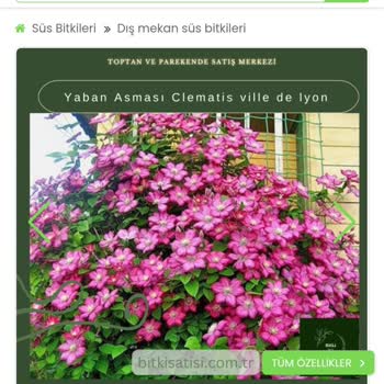 Bitkisatisi.com.tr Siparişimde Yanlış Çiçek Gönderildi