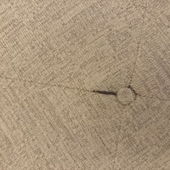 Kelebek Koltuk Takımında Kalitesizlik Ve Yetersiz Servis Nedeniyle Mağduriyet