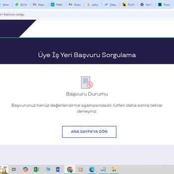 Pluxee Türkiye Başvurumdan 29 Gündür Haber Alamıyorum