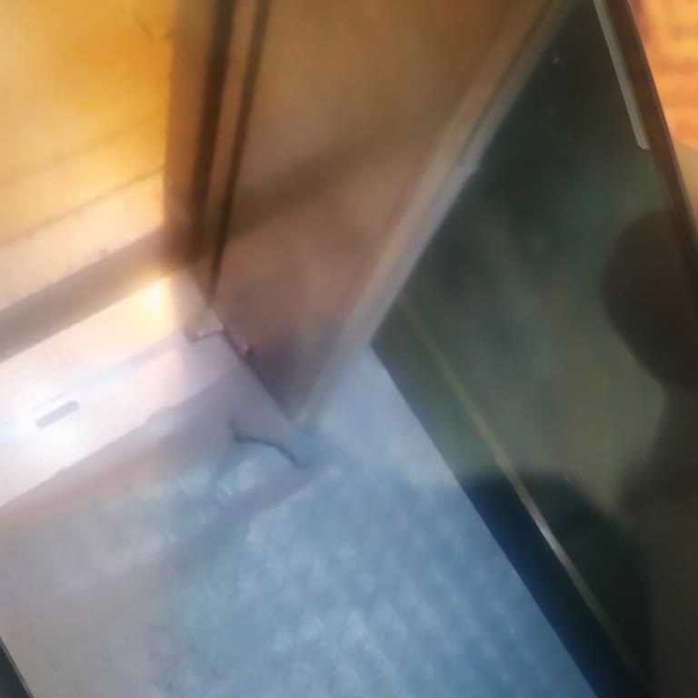 Makine Tamiri Sonrası Asansör Halısının Zarar Görmesi Ve Sorumluluk Reddi