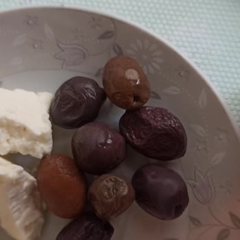 Fora Zeytinlerde Kalite Tutarsızlığı Hayal Kırıklığı Yarattı