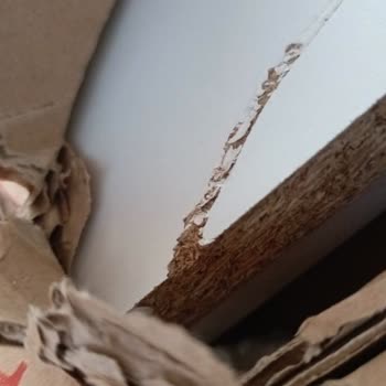 Siparişim Geç Teslim Edildi Hasarlı Ulaştı Firma Çözüm Sunmadı