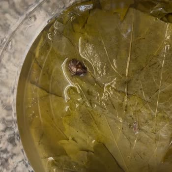 Sipariş Edilen Ürün Gerçekle Uyuşmuyor Ve Müşteri Yorumları Sansürleniyor