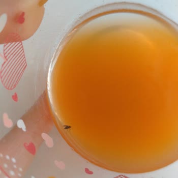 A101 Aldığım Meyve Suyunda Böcek Çıktı, Sağlığımız Tehlikede