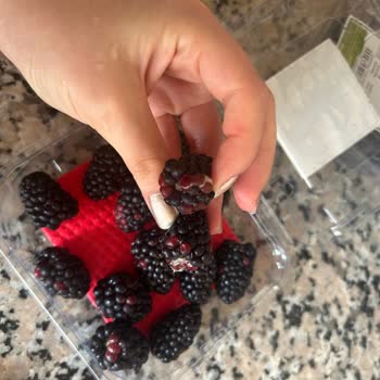 Aldığım Böğürtlenlerin İçinde Küflü Ürün Çıktı