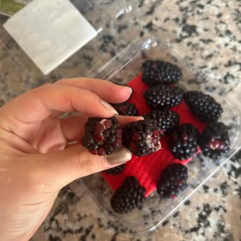 Aldığım Böğürtlenlerin İçinde Küflü Ürün Çıktı