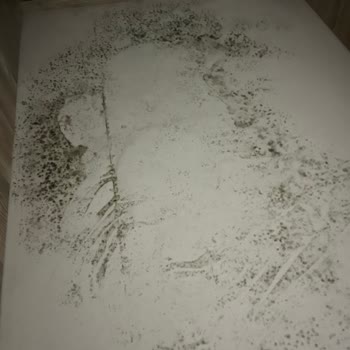 Modalife'dan Aldığım Çocuk Odası Takımında Sürekli Küflenme Sorunu Ve Çözüm Eksikliği