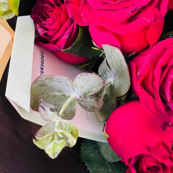 Siparişimde Gönderilen Güller Taze Değildi Ve Yapraklar Çürümüştü