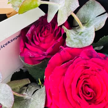 Siparişimde Gönderilen Güller Taze Değildi Ve Yapraklar Çürümüştü