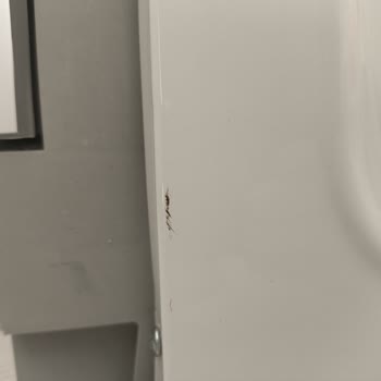Arçelik Çamaşır Ve Kurutma Makinesi Sorunları Bitmek Bilmiyor