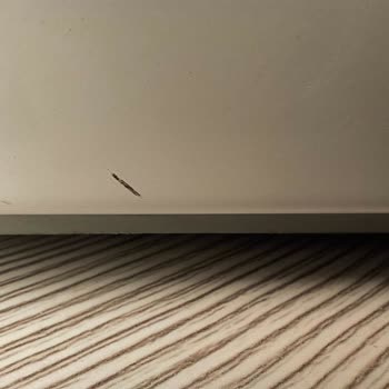 Arçelik Çamaşır Ve Kurutma Makinesi Sorunları Bitmek Bilmiyor