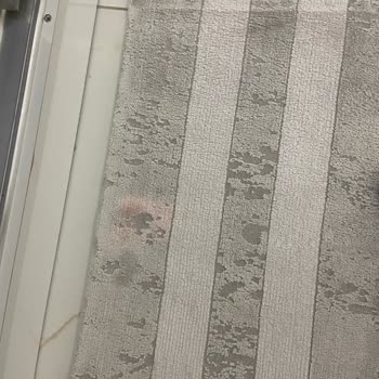 Popüler Halı Yıkama Kayseri Sorunsuz Bir Şekilde Verdiğim Halımı Çamaşır Sulu Bir Şekilde Aldım