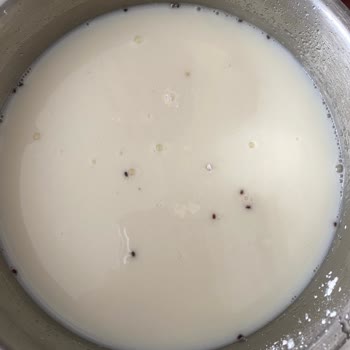 Süt Ürününde Böcek Şoku: Sağlığımız Tehlikede