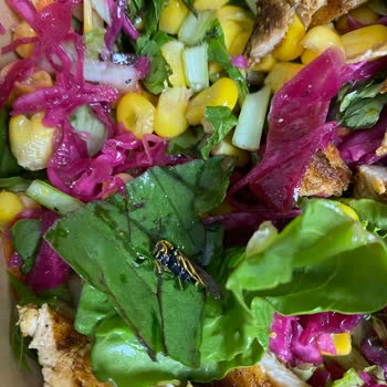 Green Piece Salatanın İçinden Arı Çıktı