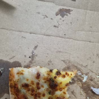 Hamilelikte Yaşanan Hijyen Şoku: Pizzadan Uzun Saç Çıktı!