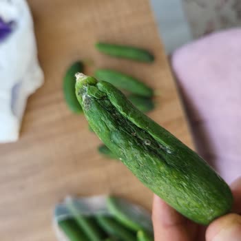 Getir'in Telafi Anlayışı Hayal Kırıklığı Yarattı