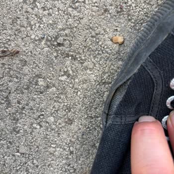 Kısa Sürede Açılan Ve Koku Yapan Ayakkabı Hayal Kırıklığı