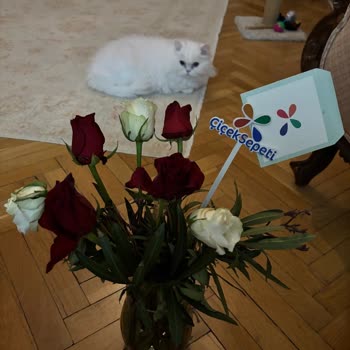 Çiçek Sepeti'nden Aldatıcı Ürün Ve İlgisiz Müşteri Hizmeti