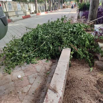 Mezarlıkta Karşılaşılan Olumsuz Manzara Acımızı Derinleştiriyor