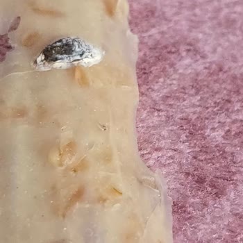 Tarhana Cipsi Paketinden Kuş Dışkısı Çıkması Ve Sağlık Riski