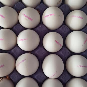 Çağdaş Marketler Satın Aldığım Yumurtalarda Kurt Çıkması ve Ürün Kontrolsüzlüğü