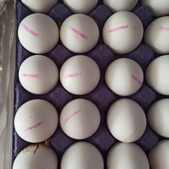 Çağdaş Marketler Satın Aldığım Yumurtalarda Kurt Çıkması ve Ürün Kontrolsüzlüğü