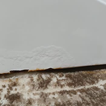 Garantisi Devam Eden Çamaşır Makinesinde Küf Sorunu Ve Servis Mağduriyeti