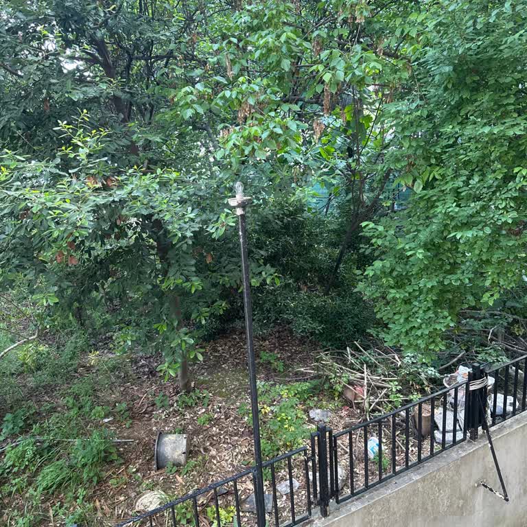 Karayollarına Ait Boş Alanın Temizlenmemesi Ve Güvenlik Sorunu