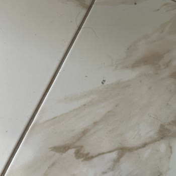 Roborock Süpürgem Kırıntıları Çekmiyor Ve Müşteri Hizmetleri İlgisiz