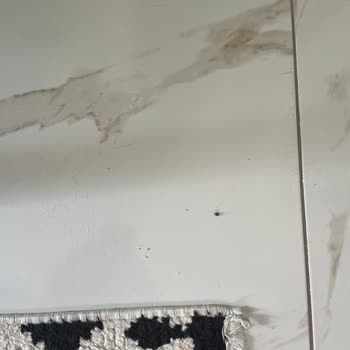 Roborock Süpürgem Kırıntıları Çekmiyor Ve Müşteri Hizmetleri İlgisiz