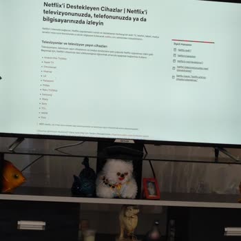 Onvo Televizyonda Netflix Ve Sürekli Ağ Bağlantı Sorunu