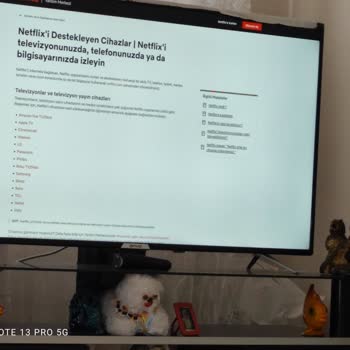 Onvo Televizyonda Netflix Ve Sürekli Ağ Bağlantı Sorunu