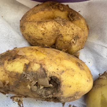 Eksik Ve Kusurlu Sipariş Sonrası Yetersiz Çözüm Ve İade Sorunu