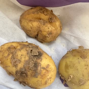 Eksik Ve Kusurlu Sipariş Sonrası Yetersiz Çözüm Ve İade Sorunu