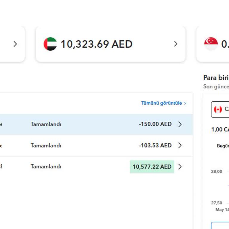 Payoneer Approved My 150 AED Withdrawal But Money Hasn’t Reached My Account